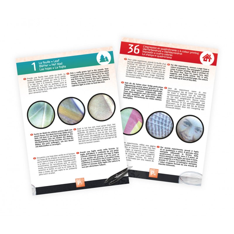 Microscope 3D Loupe Binoculaire - Buki – Image 3