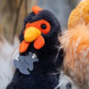 Peluche coq " Coq'rico" noir et blanc - 26 cm Histoire d'Ours
