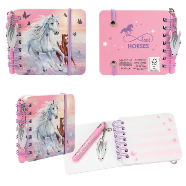 Set de carnets de notes - Miss Melody