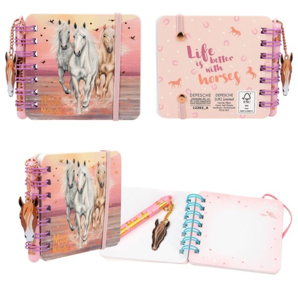Set de carnets de notes - Miss Melody