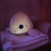 Peluche Veilleuse Beluga - Pabobo