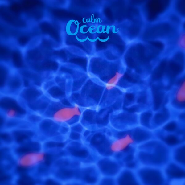 calmocean-teaser Projecteur Calm Océan Etoile- Pabobo