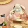 Peluche lapin rose avec son doudou - LAPIN CIBOULETTE - 28 cm - Doudou & Compagnie