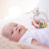 Coffret naissance prêt à offrir Sophie la girafe et Colo'rings - Vulli