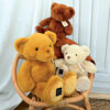 ho3229-1-6467541712c19839553990 Ours en peluche marron Cappuccino 28cm - Le Nounours - Histoire d'Ours