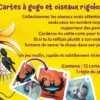 Crazy Birds - Games Factory