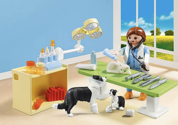 Capture d’écran 2026-02-10 185918 Valisette Vétérinaire - Playmobil 5653