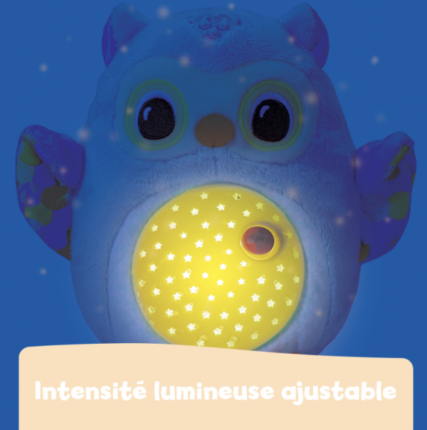 Ma veilleuse lumi chouette - Vtech