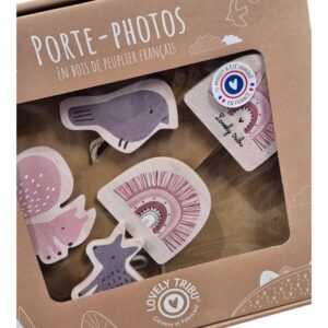 Guirlande porte photos “rainbow rose” – LOVELY TRIBU