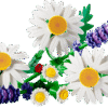 Marguerites - Lego 11508