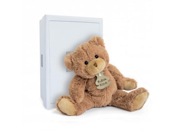 CALIN'OURS 25 CM - Marron Histoire d'ours - HO1155