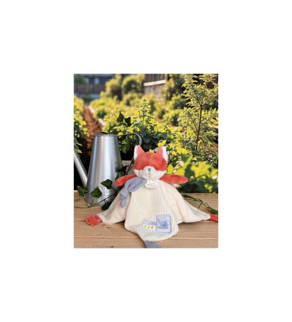 DOUDOU plat Renard Romarin - 27 cm - doudou & Compagnie DC4327