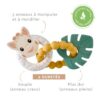 Anneau de dentition Tropic'anneaux - Vulli