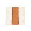 Pack de 3 langes 70*70cm - Diplododo - Trois kilos sept