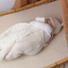 Salopette bébé en maille couleur Sable - Trois Kilos Sept